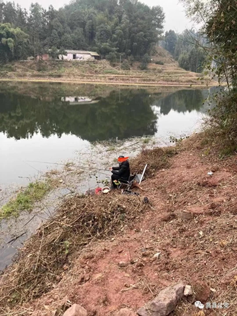 严惩！宜宾多人因烧秸秆被拘留！还有人野外吸烟被查！(图7)