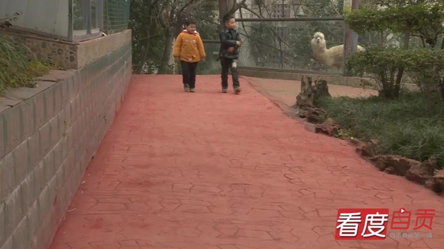 免费WIFI全园区覆盖！自贡动物园改造升级完成，TA们也有福利哦！(图3)