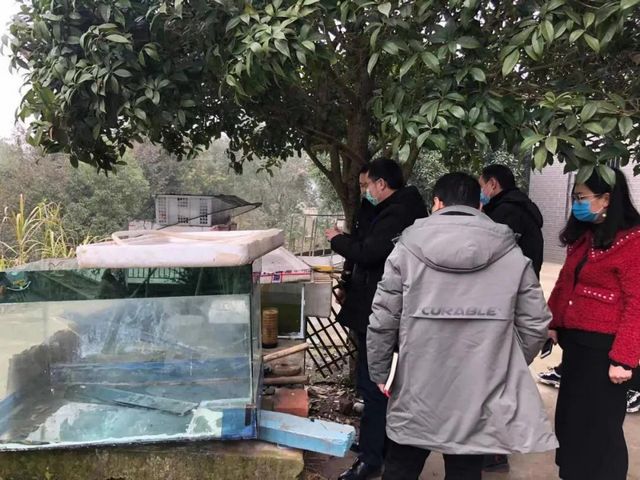 网店销售野生鱼?泸州市监立即行动!(图2) 网店销售野生鱼?泸州市监立即行动!(图2)