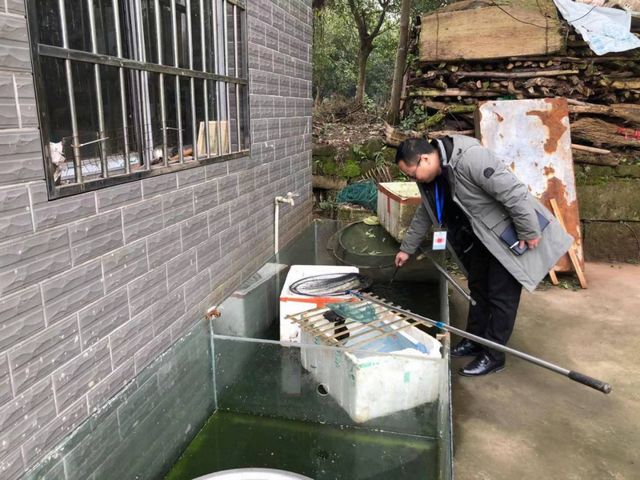 网店销售野生鱼?泸州市监立即行动!(图3) 网店销售野生鱼?泸州市监立即行动!(图3)