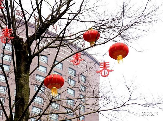 年味渐浓丨大红灯笼高高挂，今年春节叙永有点靓(图8)