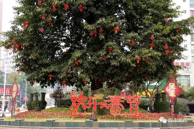 年味渐浓丨大红灯笼高高挂，今年春节叙永有点靓(图9)