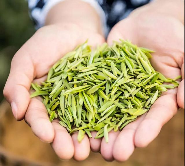 2月5日开采！宜宾早茶又要上新了！(图6)