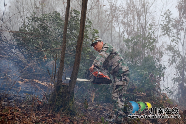 合江县开展2021年森林火灾应急演练(图5)