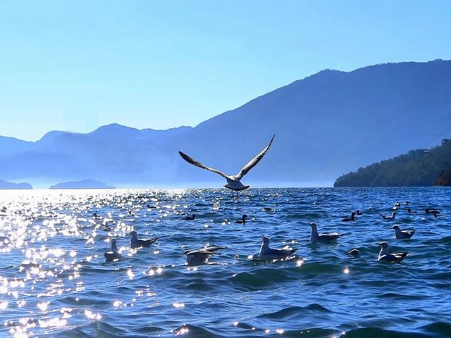 注意了！四川泸沽湖景区即日起恢复对外开放(图2)