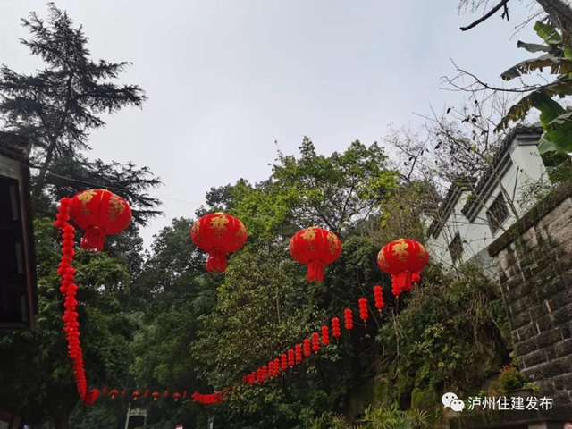最美色彩迎新年，百万盆鲜花扮靓泸州城！(图5)