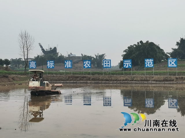 立春到农事忙  泸县春耕备耕正当时(图2)