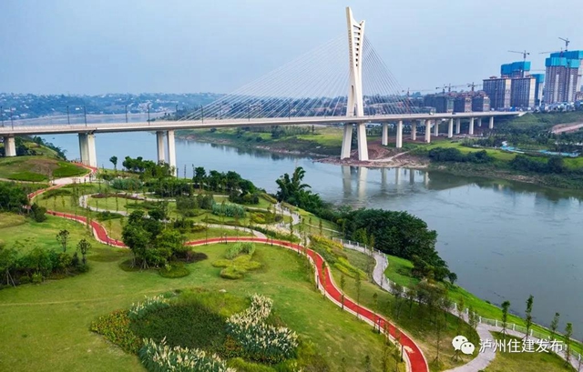厉害了！泸州这座桥(图4)