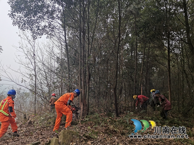 国网泸川公司做好森林防火排危确保群众温暖过冬(图2)