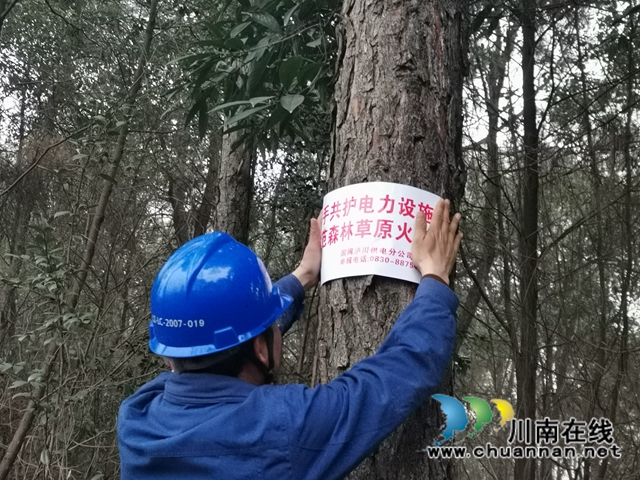 国网泸川公司做好森林防火排危确保群众温暖过冬(图4)