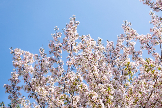 全国大部地区“立春暖”，但酒城...