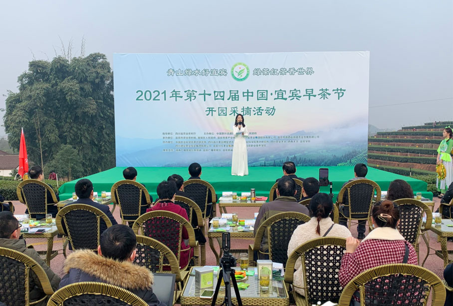 宜宾早茶节(图2)