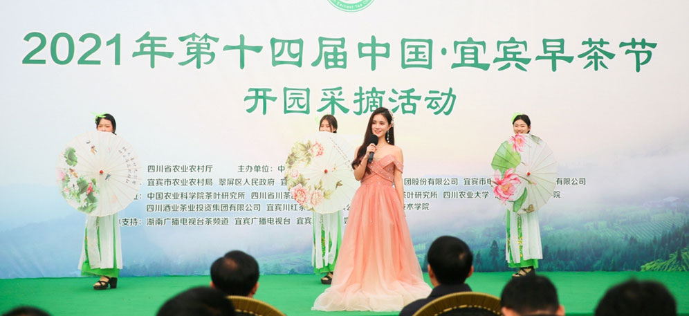 宜宾早茶节(图3)