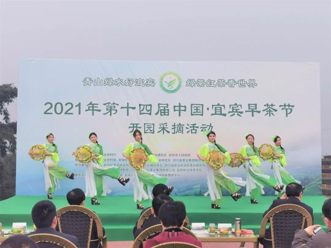 宜宾早茶节(图4)