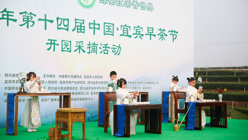 宜宾早茶节(图5)