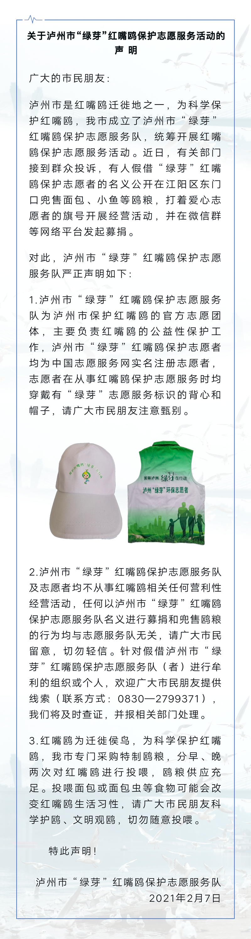 关于泸州市“绿芽”红嘴鸥保护志愿服务活动的声明(图1)