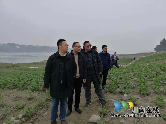 纳溪区长江经济带10公里范围内废弃露天矿山生态修复工程通过终验(图2)