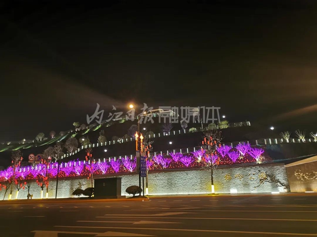 赶快来！内江城区这两个公园在办“灯会”(图5)