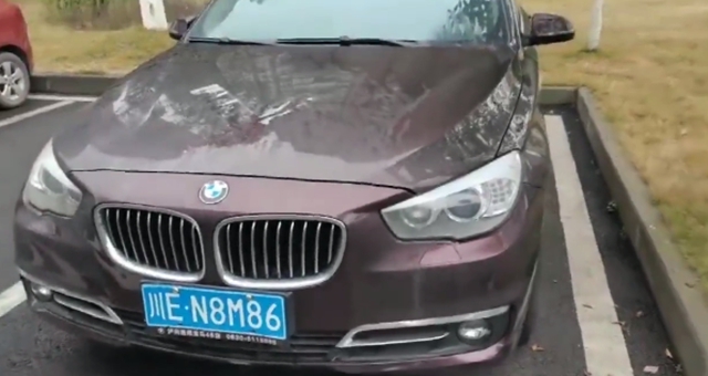 龙马战狼｜正月初五，来买买买(图3)