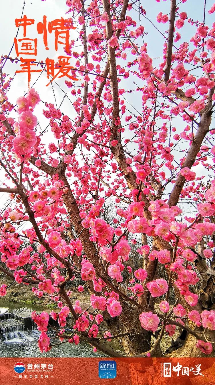 这十张图告诉你春天的味道(图3)