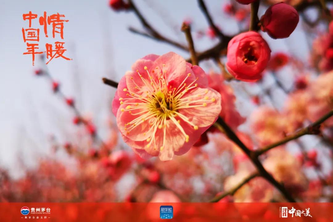 这十张图告诉你春天的味道(图4)