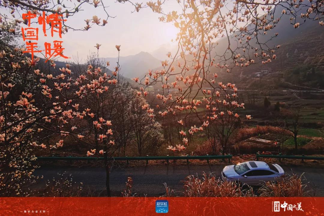 这十张图告诉你春天的味道(图6)