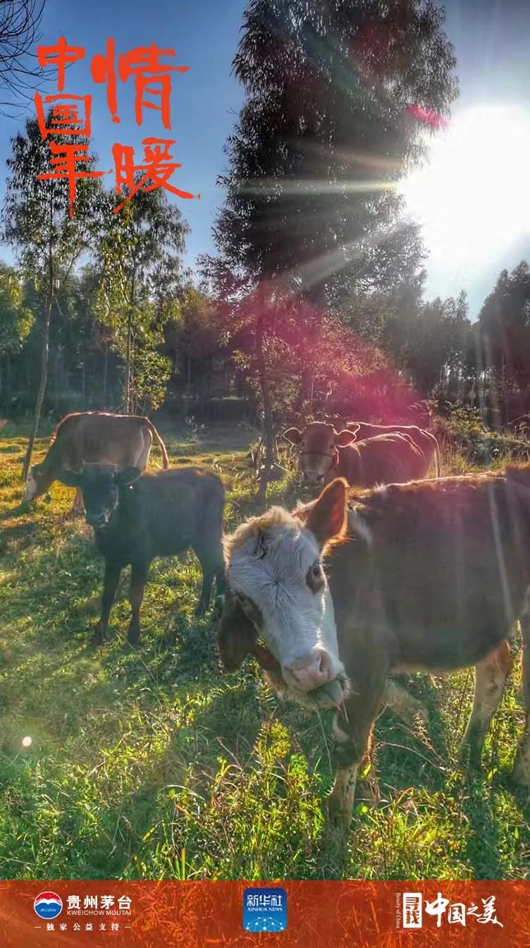 这十张图告诉你春天的味道(图2)