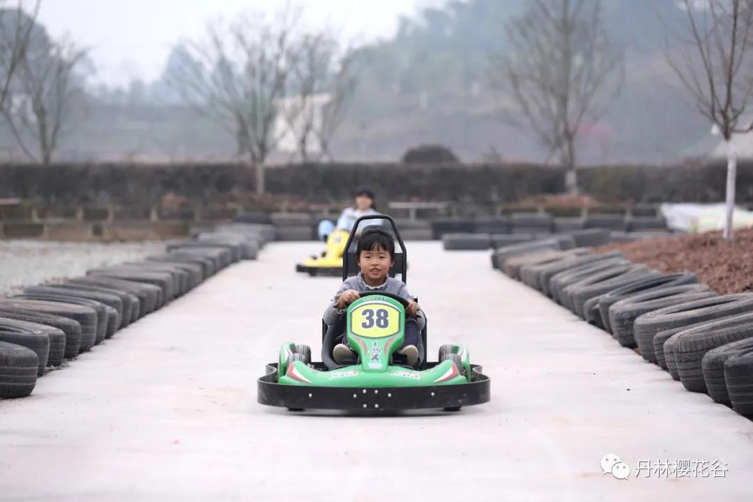 开园啦！丹林樱花谷今日开园(图8)