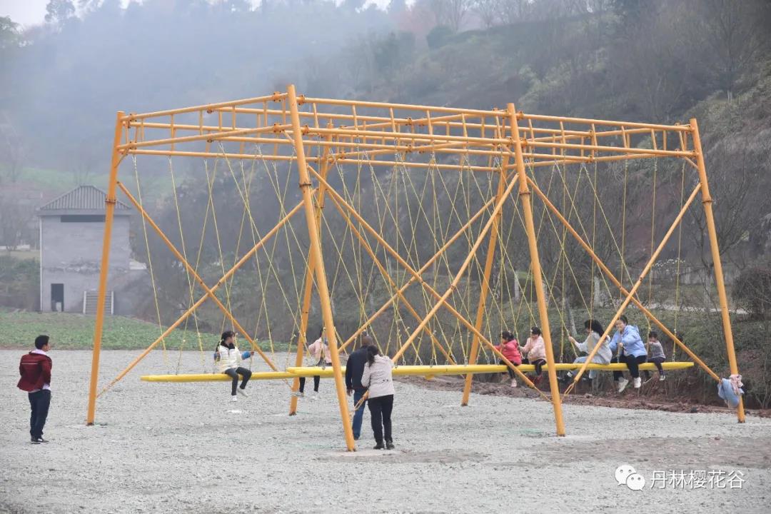 开园啦！丹林樱花谷今日开园(图9)