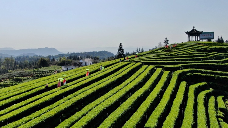 山河无恙，景色“撩”人(图8)