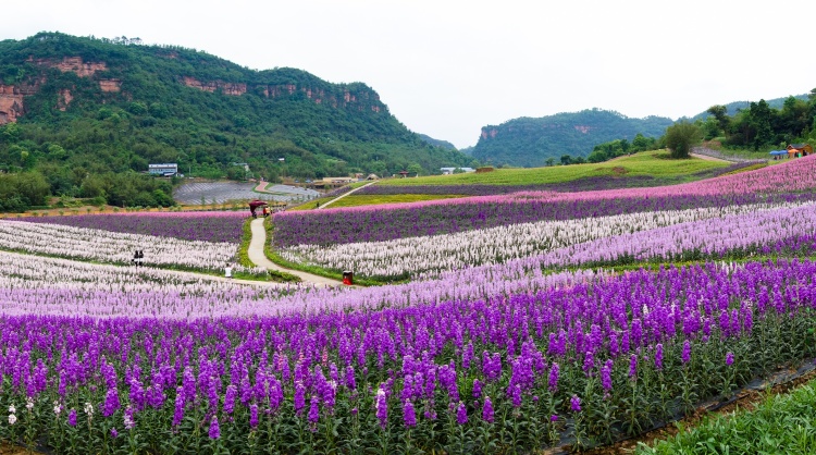 山河无恙，景色“撩”人(图9)