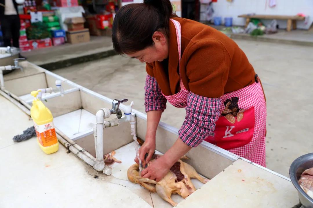 好消息！宜宾又一条铁路来了(图17)