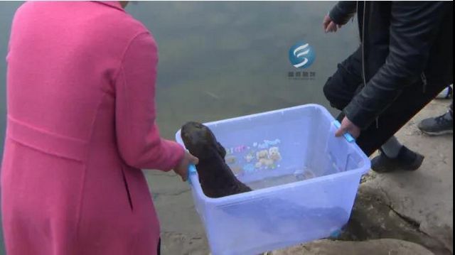 出一万也不卖！富顺村民水井中居然发现……(图3)