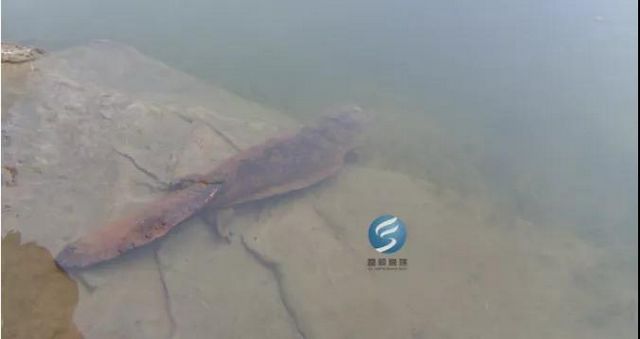 出一万也不卖！富顺村民水井中居然发现……(图6)