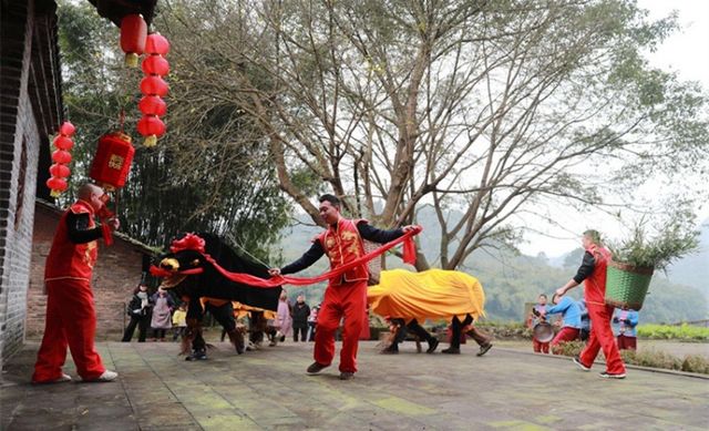 云拜年 ︳敲锣打鼓耍牛灯 欢欢喜喜过新年(图2)