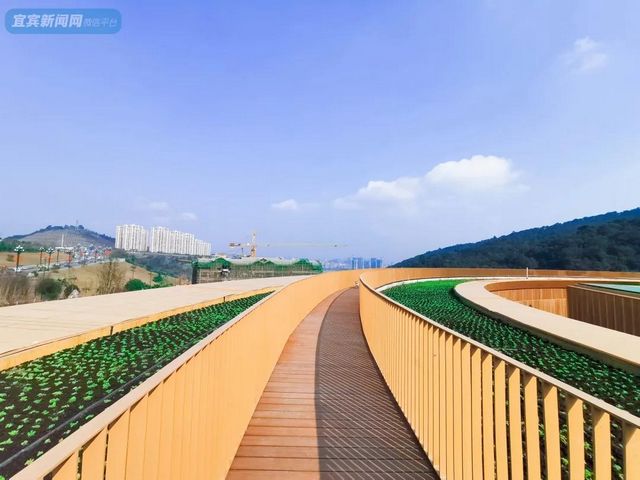 提醒！假期余额不足！去宜宾这些地方游玩还来得及！赏花、观展、踏青……(图7)