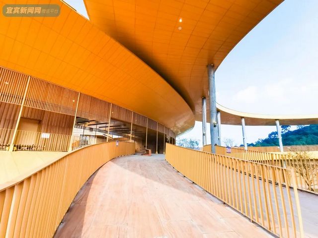 提醒！假期余额不足！去宜宾这些地方游玩还来得及！赏花、观展、踏青……(图8)