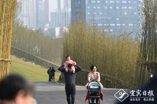 提醒！假期余额不足！去宜宾这些地方游玩还来得及！赏花、观展、踏青……(图10)