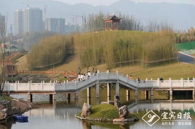 提醒！假期余额不足！去宜宾这些地方游玩还来得及！赏花、观展、踏青……(图11)