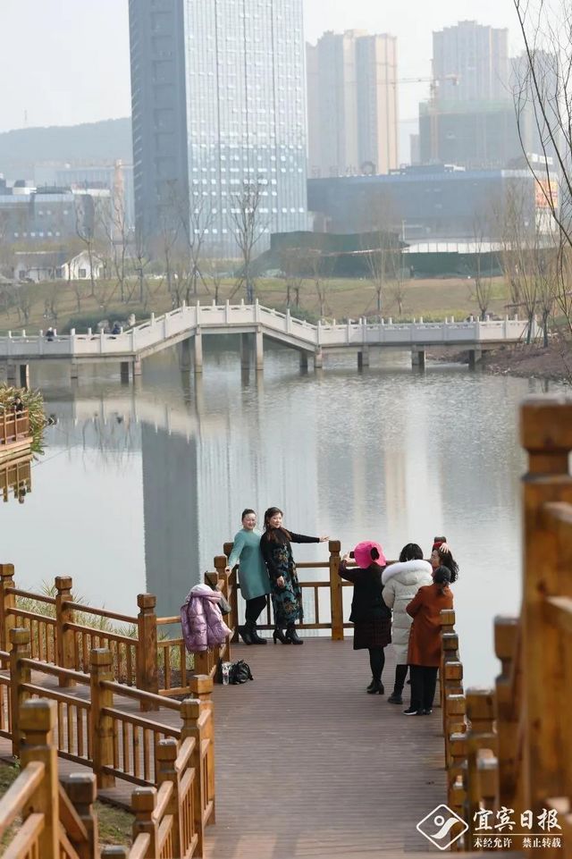 提醒！假期余额不足！去宜宾这些地方游玩还来得及！赏花、观展、踏青……(图9)