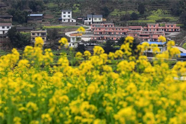 提醒！假期余额不足！去宜宾这些地方游玩还来得及！赏花、观展、踏青……(图15)