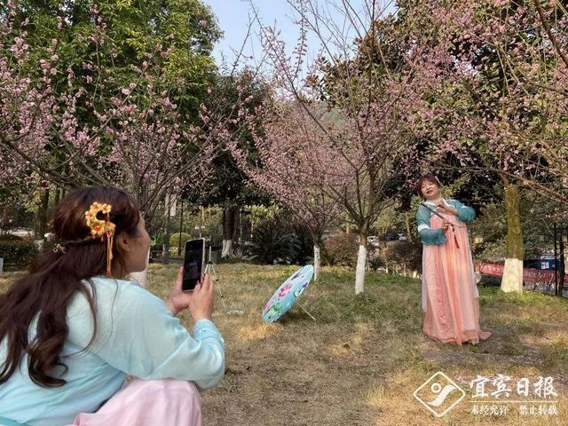 提醒！假期余额不足！去宜宾这些地方游玩还来得及！赏花、观展、踏青……(图18)