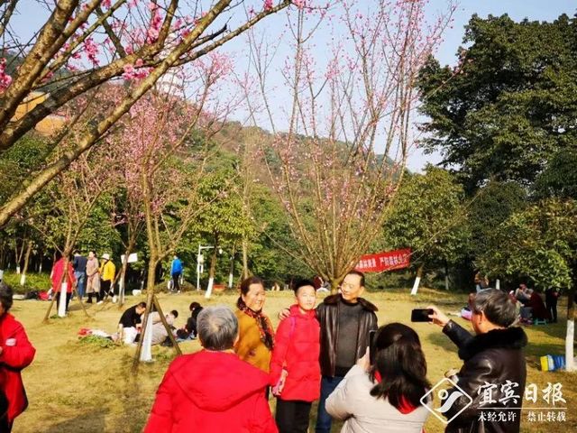 提醒！假期余额不足！去宜宾这些地方游玩还来得及！赏花、观展、踏青……(图19)