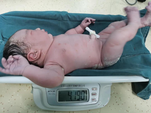 萌！西南医大中医院迎接了25名金牛宝宝！(图2)