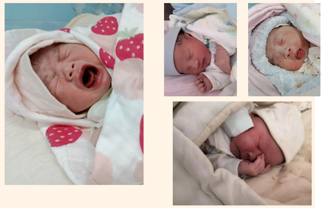 萌！西南医大中医院迎接了25名金牛宝宝！(图8)