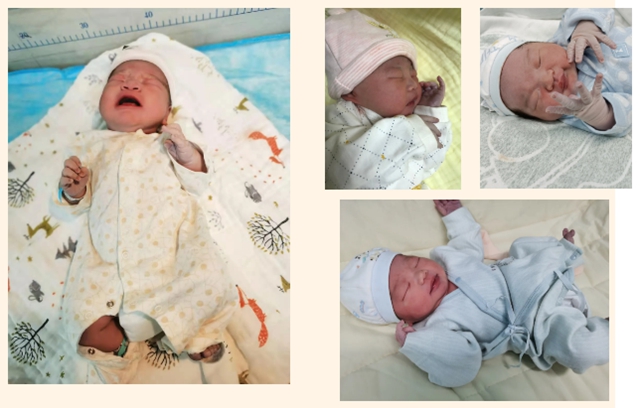 萌！西南医大中医院迎接了25名金牛宝宝！(图6)