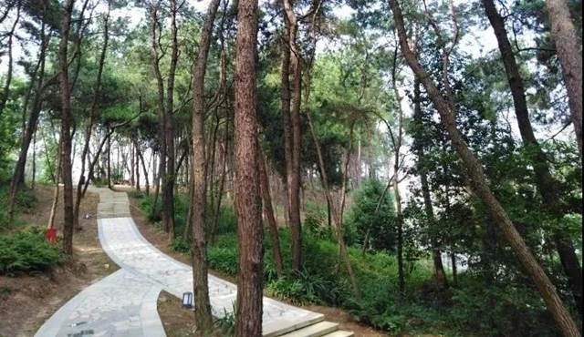 锻炼+赏景两不误！内江这几条户外线路你值得拥有(图4)