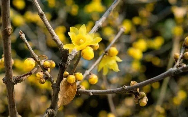 锻炼+赏景两不误！内江这几条户外线路你值得拥有(图5)