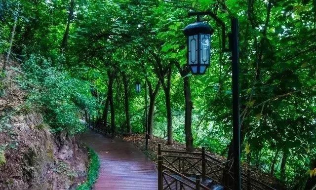 锻炼+赏景两不误！内江这几条户外线路你值得拥有(图18)