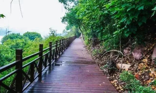 锻炼+赏景两不误！内江这几条户外线路你值得拥有(图19)